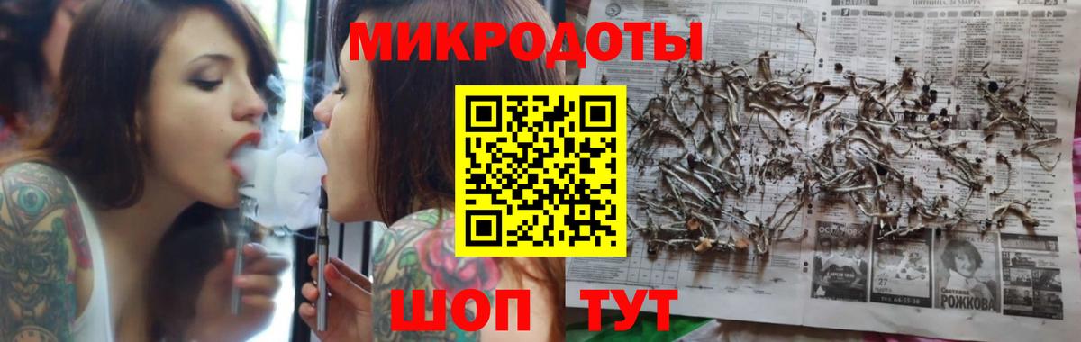 Галлюциногенные грибы Psilocybe Новоалександровск